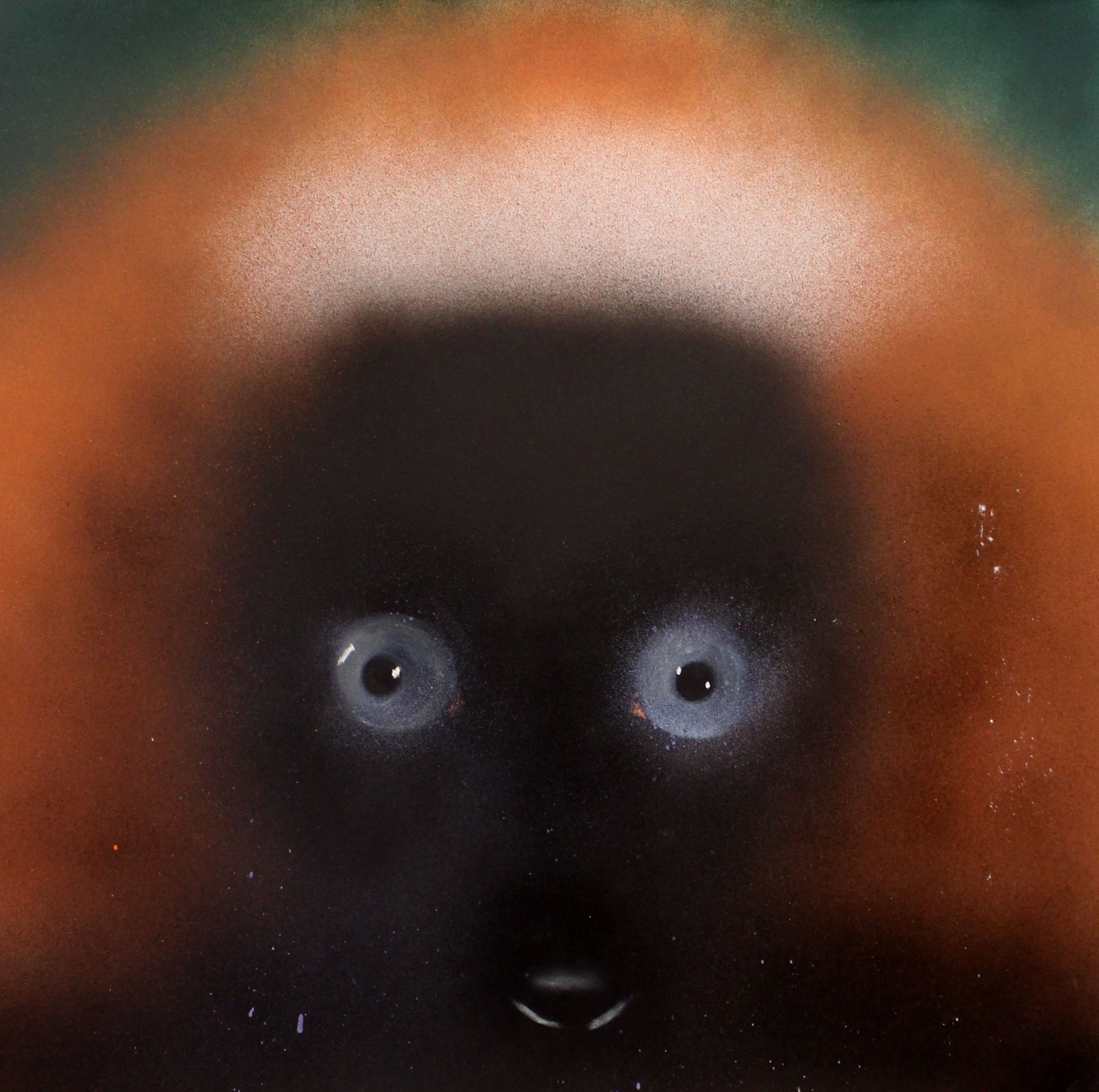 Рыжий лемур