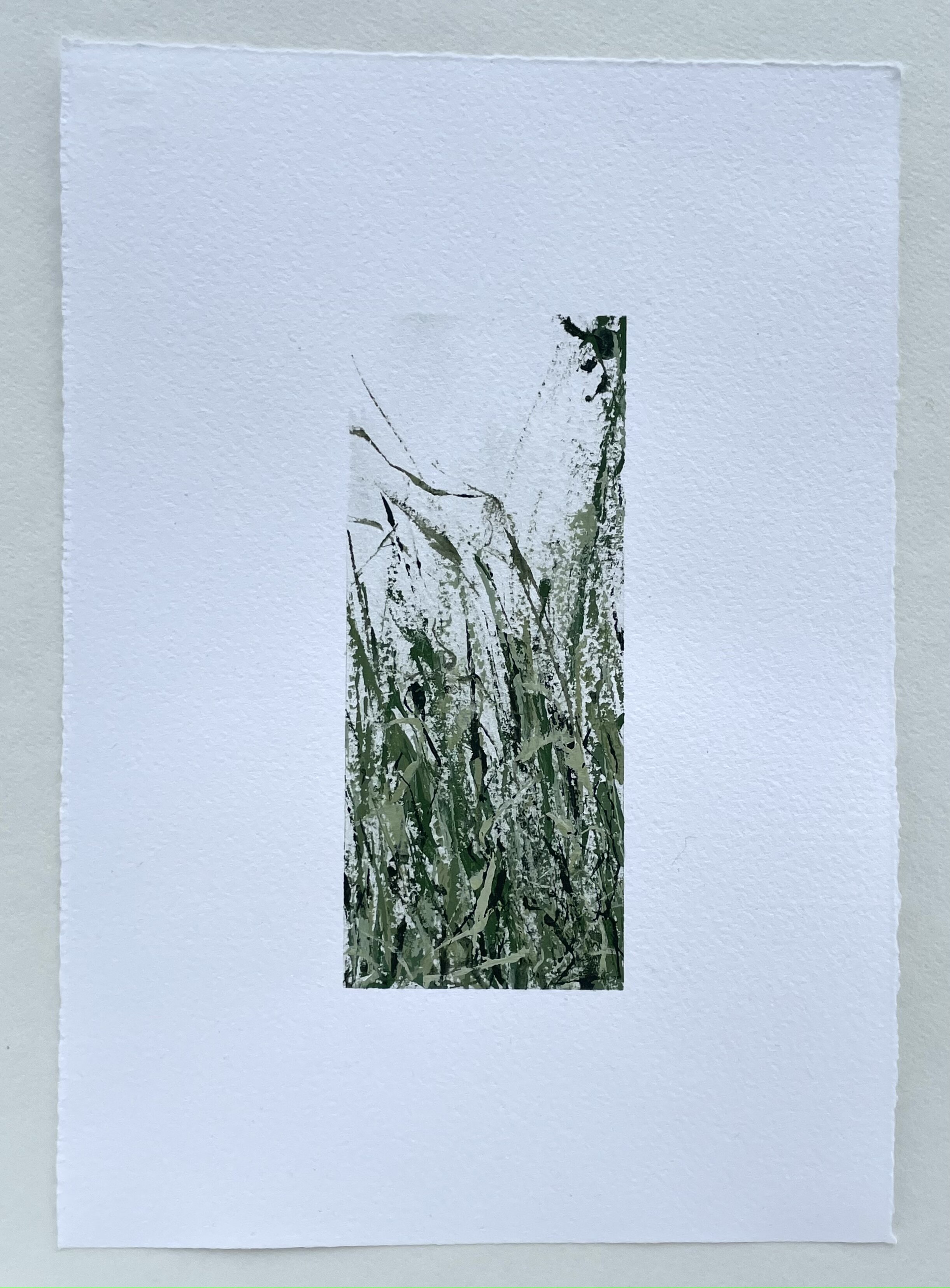 Без названия