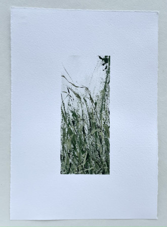 Работа Без названия