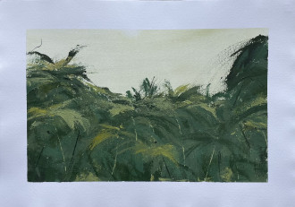 Работа Tropics II