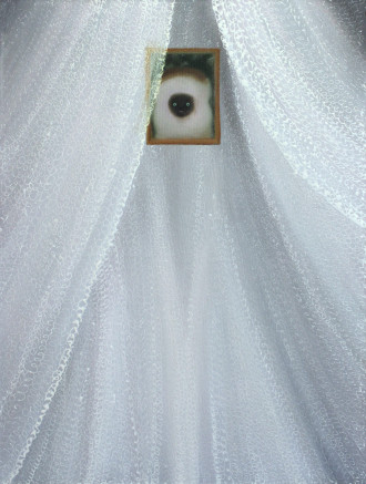 Работа Балдахин  Сифаки