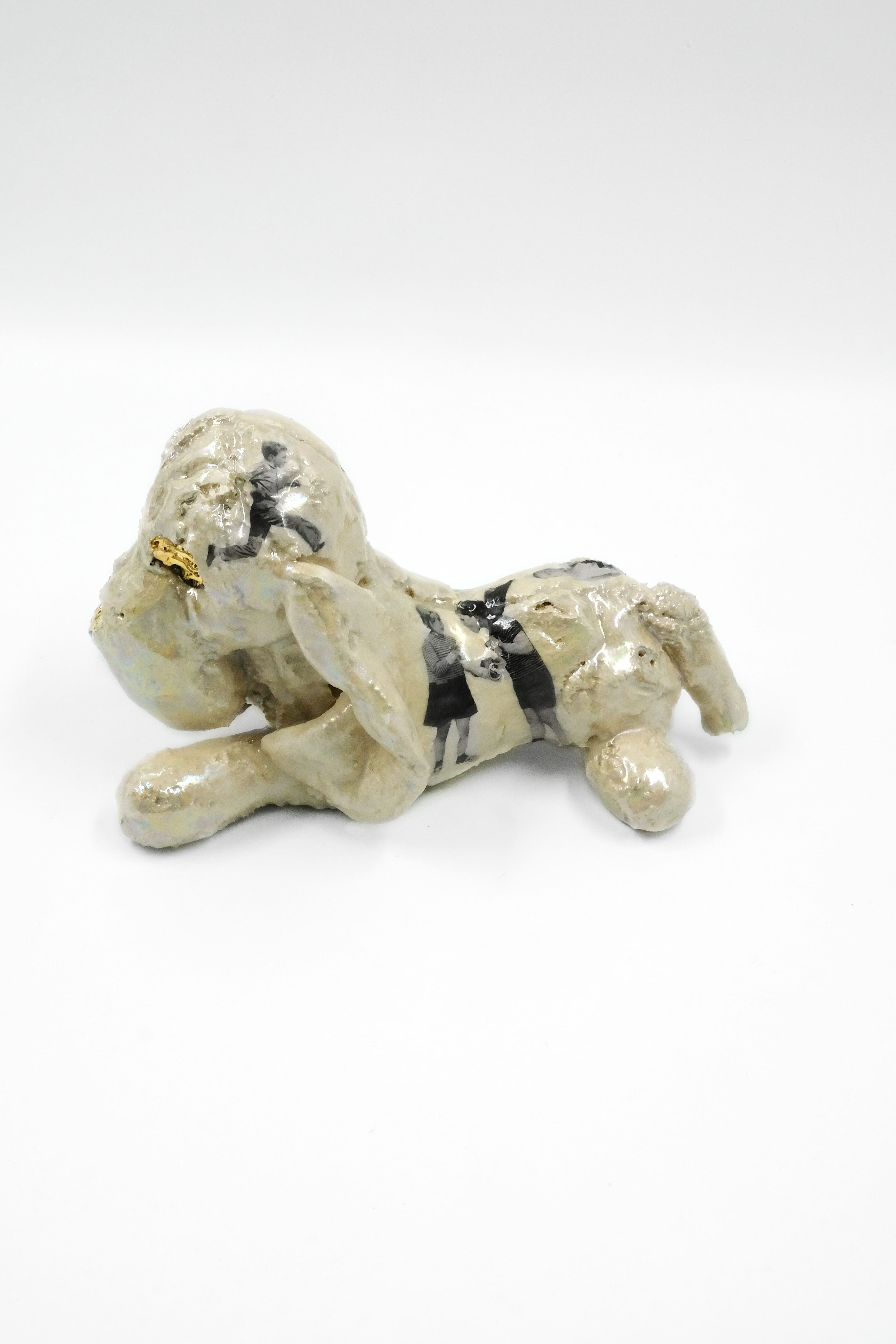 Dog toy