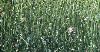 Работа №665